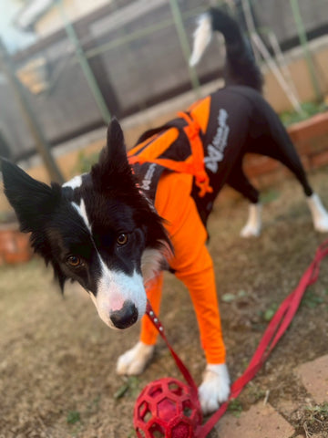 Protector suit | #2062587