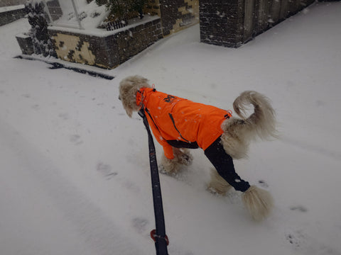 雨の日には必須 | #2120156