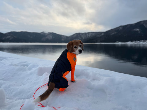 ぴったりでした！ | #2132895