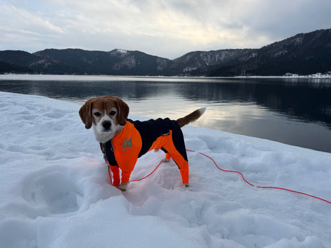 ぴったりでした！ | #2132895