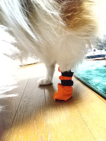 大きさ違いでサイズ変更しました | #2140045