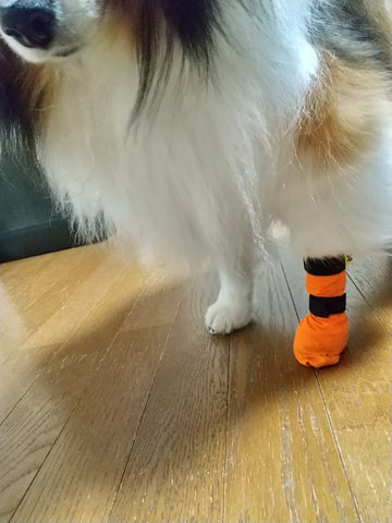 大きさ違いでサイズ変更しました | #2140045