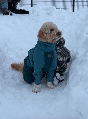 求めてたもの | #2146022