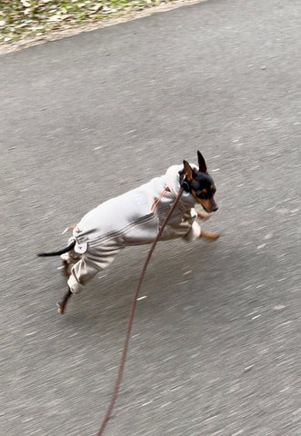 とっても暖かそう | #2146042