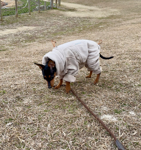 とっても暖かそう | #2146042