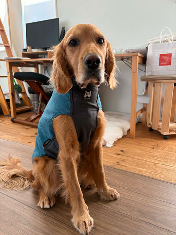 寒い朝のランニングにぴったり | #2146052