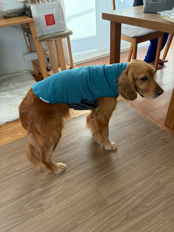 寒い朝のランニングにぴったり | #2146052