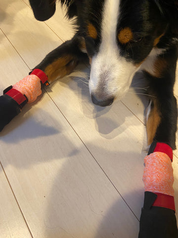 足元の怪我など防止のために購入しました | #2164279