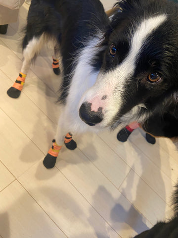 足元の怪我など防止のために購入しました | #2164279