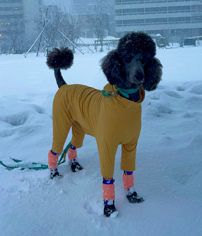 お散歩帰りが楽になりました！ | #2164284