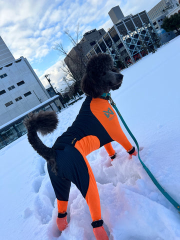 キレイな走り方する様になりました！ | #2166846