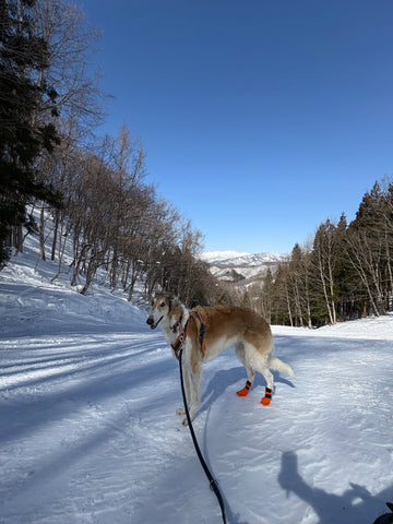 すごく良かった！ | #2206307