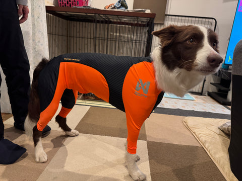 思ったより薄手 | #2220233