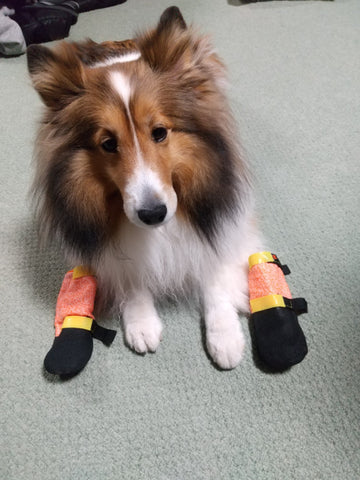 あと１ｃｍ長ければＧｏｏｄ！ | #2220243