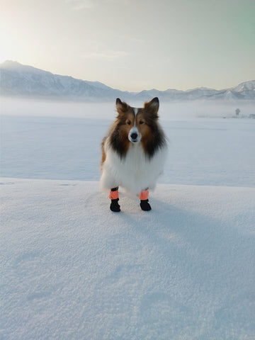 あと１ｃｍ長ければＧｏｏｄ！ | #2220243