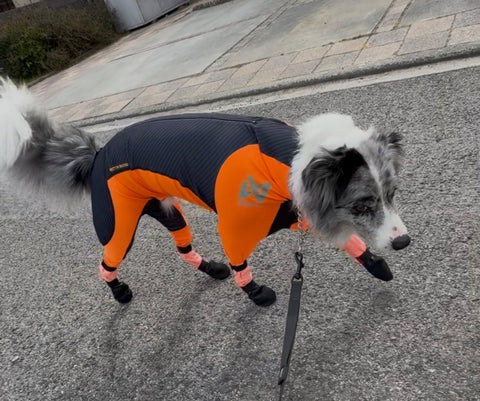 オールシーズン用に | #2230696