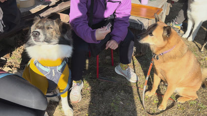 ワンブレイク（WAN BREAK）犬用エナジージェル7本セット【即日配送】