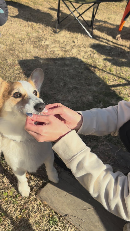 ワンブレイク（WAN BREAK）犬用エナジージェル7本セット【即日配送】