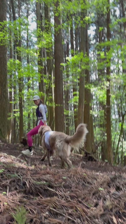 イヌと山 秩父 武甲山登山 10/8(水)