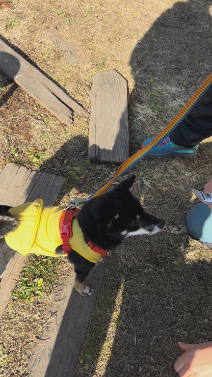 ワンブレイク（WAN BREAK）犬用エナジージェル7本セット【即日配送】