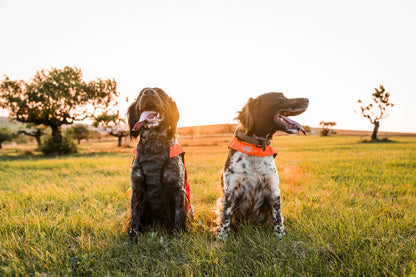 犬用視野性 登山ハンティングドッグ Protector cover 2.0