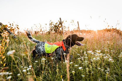 犬用プロテクターベスト 藪漕ぎ Protector vest 2.0