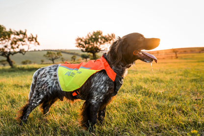犬用プロテクターベスト 藪漕ぎ Protector vest 2.0