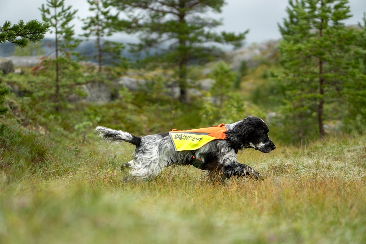 犬用プロテクターベスト 藪漕ぎ Protector vest 2.0