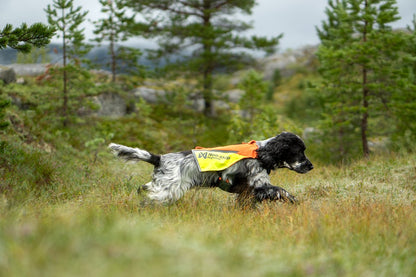 犬用プロテクターベスト 藪漕ぎ Protector vest 2.0