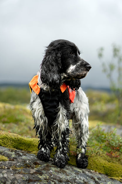 犬用プロテクターベスト 藪漕ぎ Protector vest 2.0