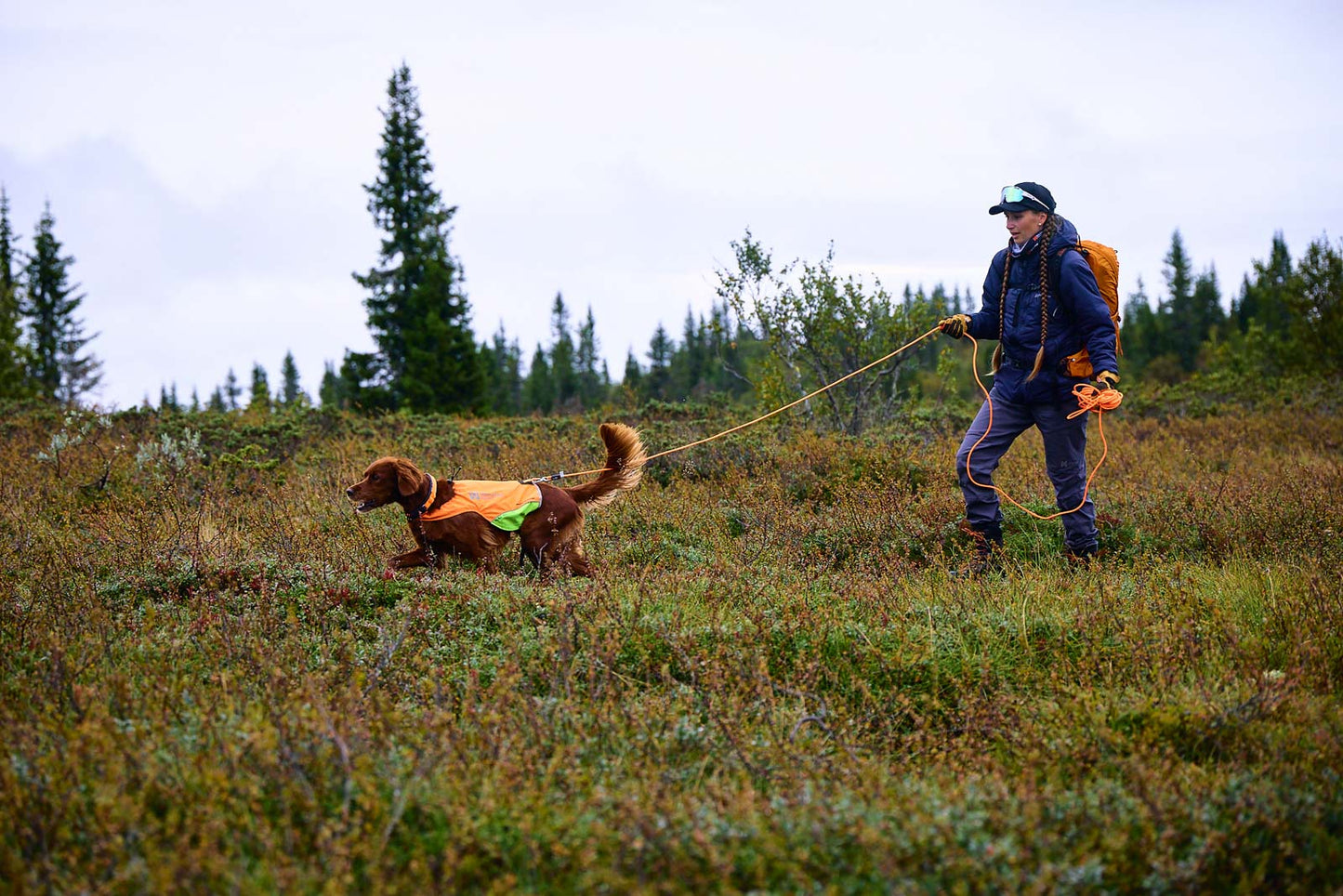 Protector round long line 高耐久・高操作性を兼ね備えたロングリード【即日発送】