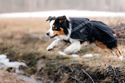 Trekking dog raincoat 登山レインジャケット