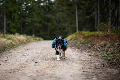 Trail quest dog backpack 犬用 本格アウトドアバックパック