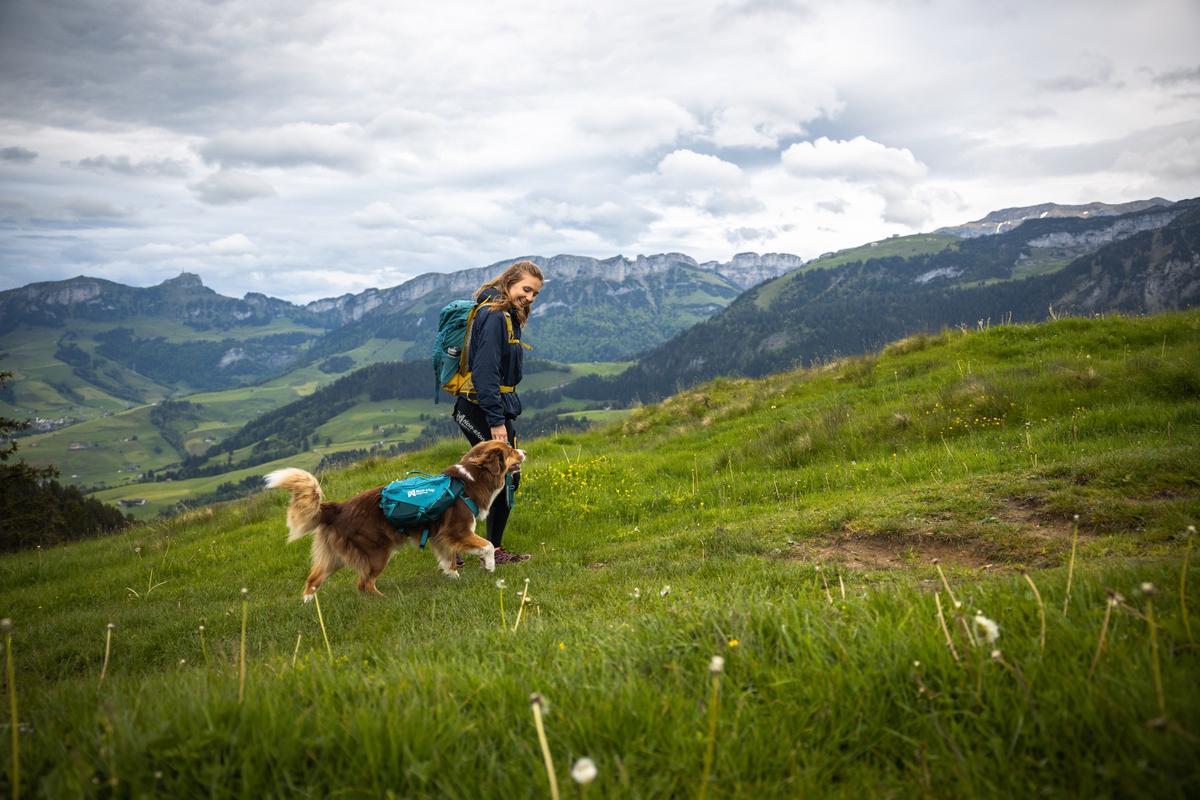 Trail quest dog backpack 犬用 本格アウトドアバックパック