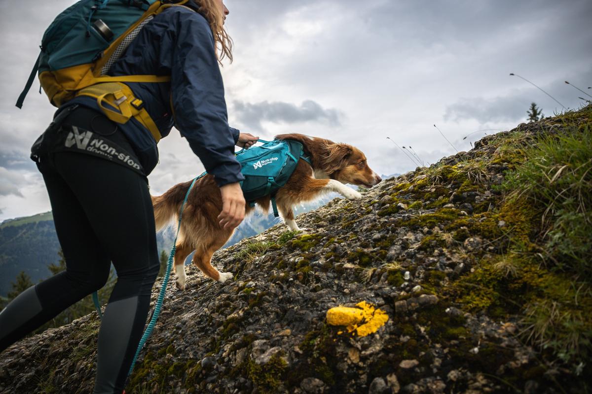 Trail quest dog backpack 犬用 本格アウトドアバックパック