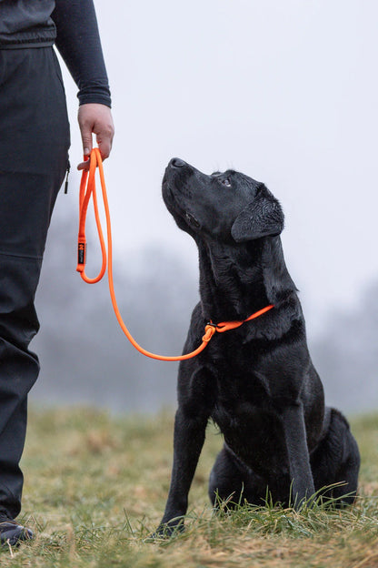 イヌ用トレーニングリード Retriever leash