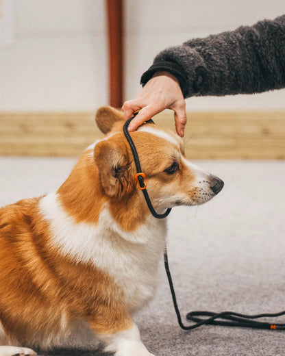 イヌ用トレーニングリード Retriever leash