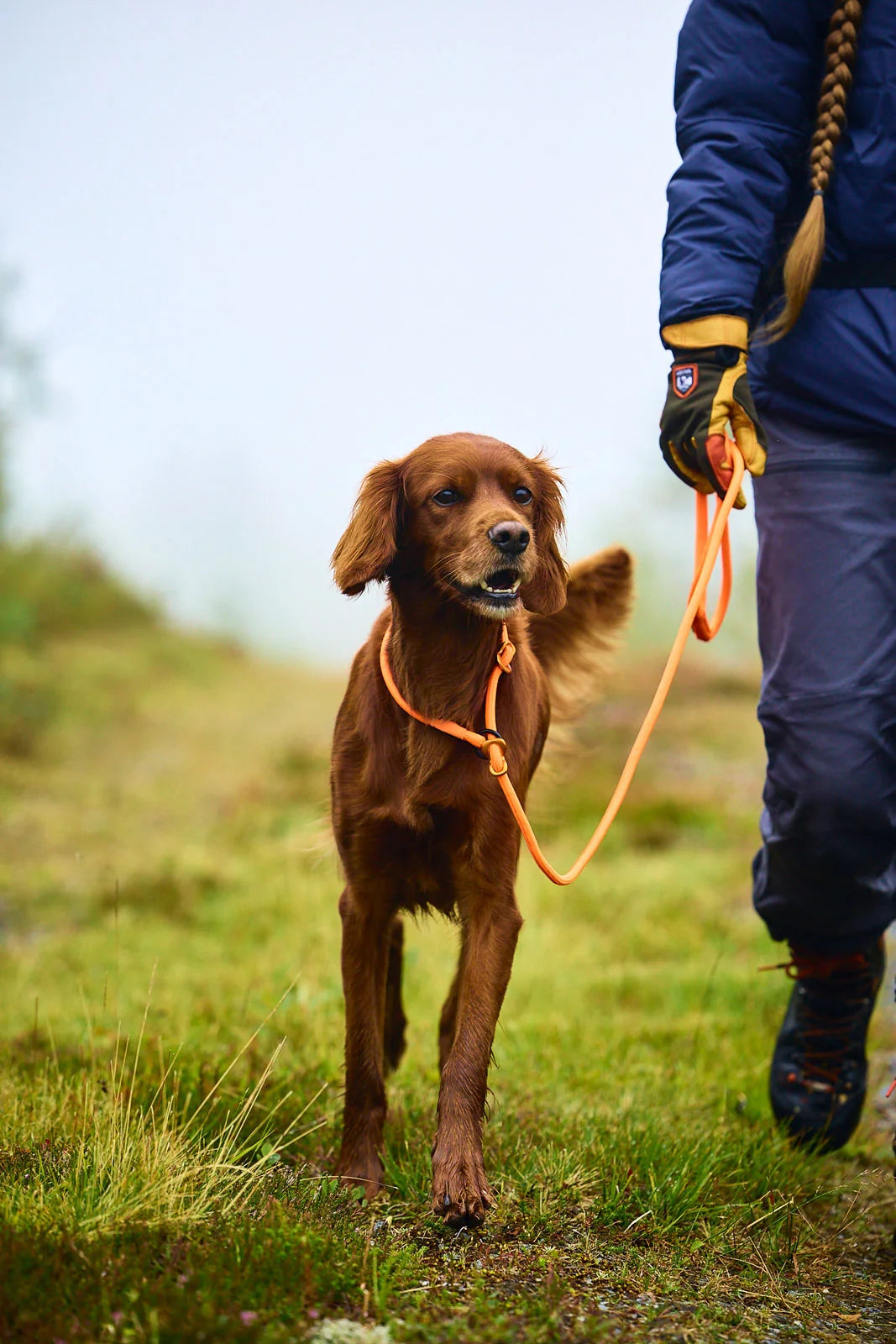 イヌ用トレーニングリード Retriever leash
