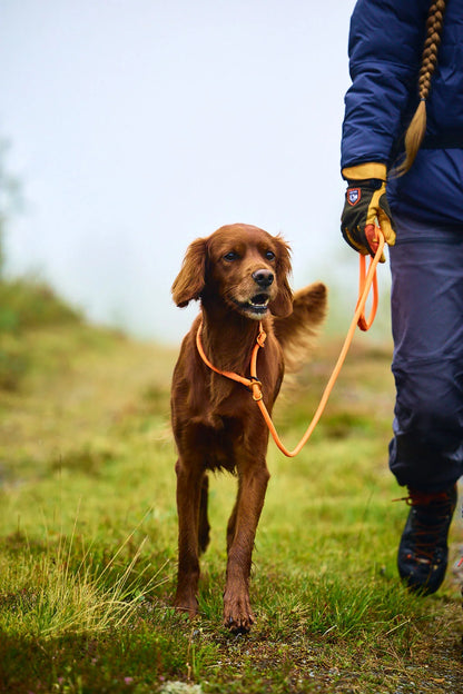 イヌ用トレーニングリード Retriever leash