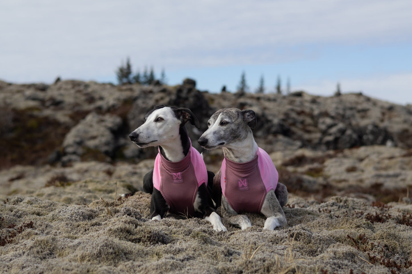 Trail quest fleece pullover 軽くて暖かい快適フリース