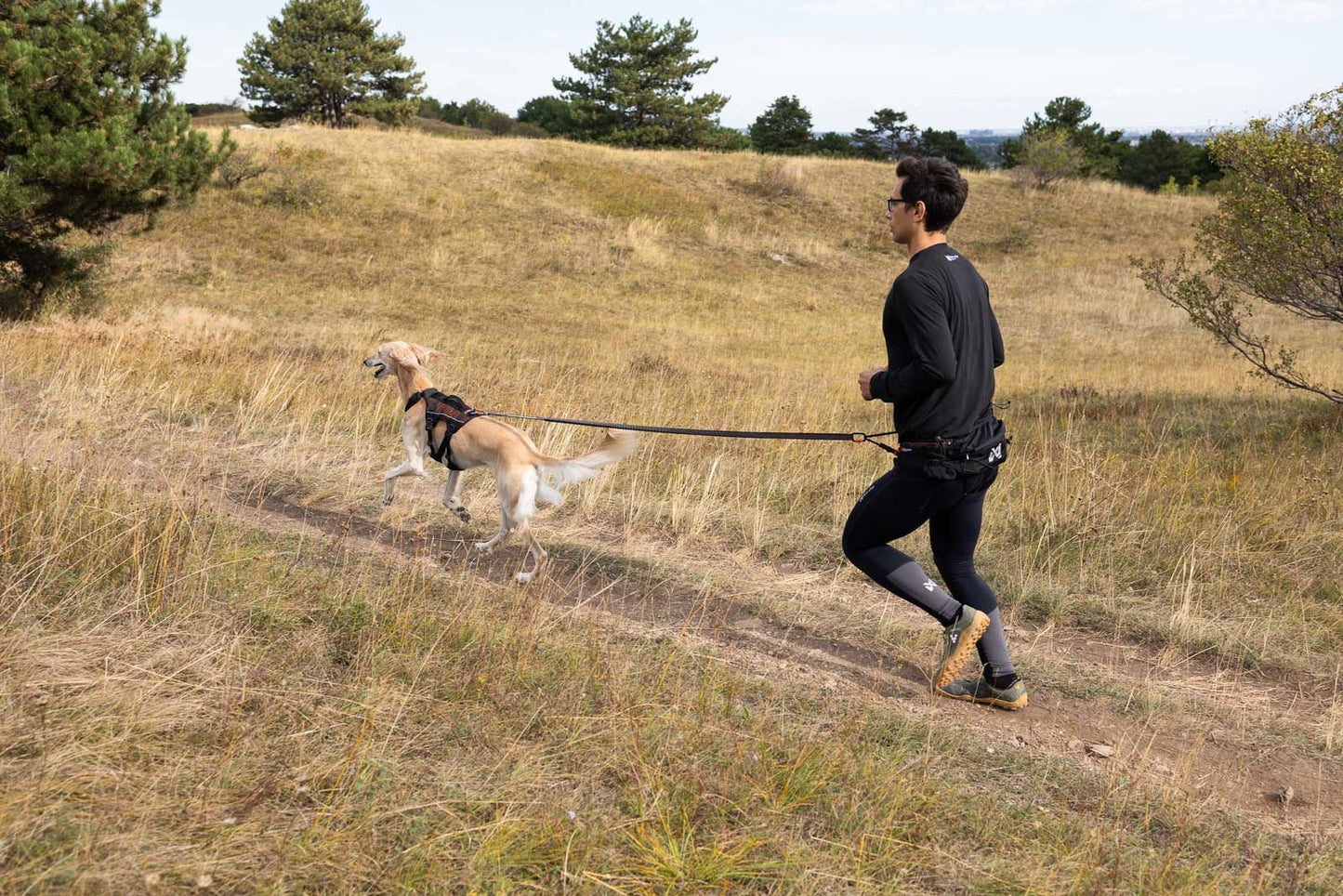 Trail light belt 大きめウエストバッグ