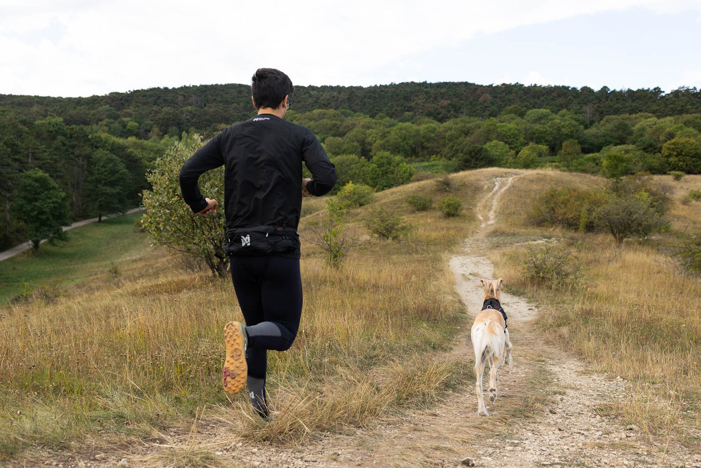 Trail light belt 大きめウエストバッグ