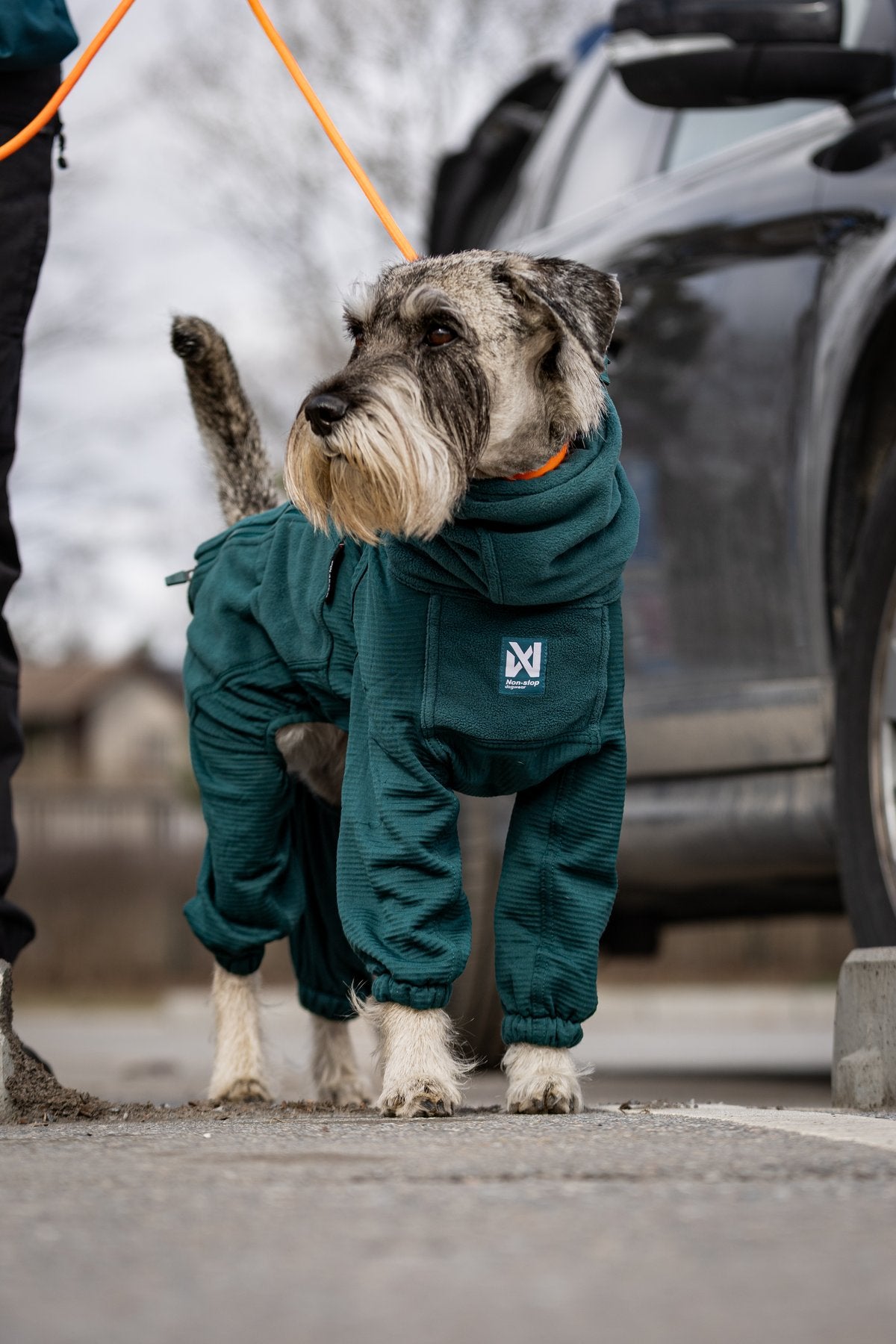 Trail quest fleece overall 寒さに強いアクティブ犬用防寒着