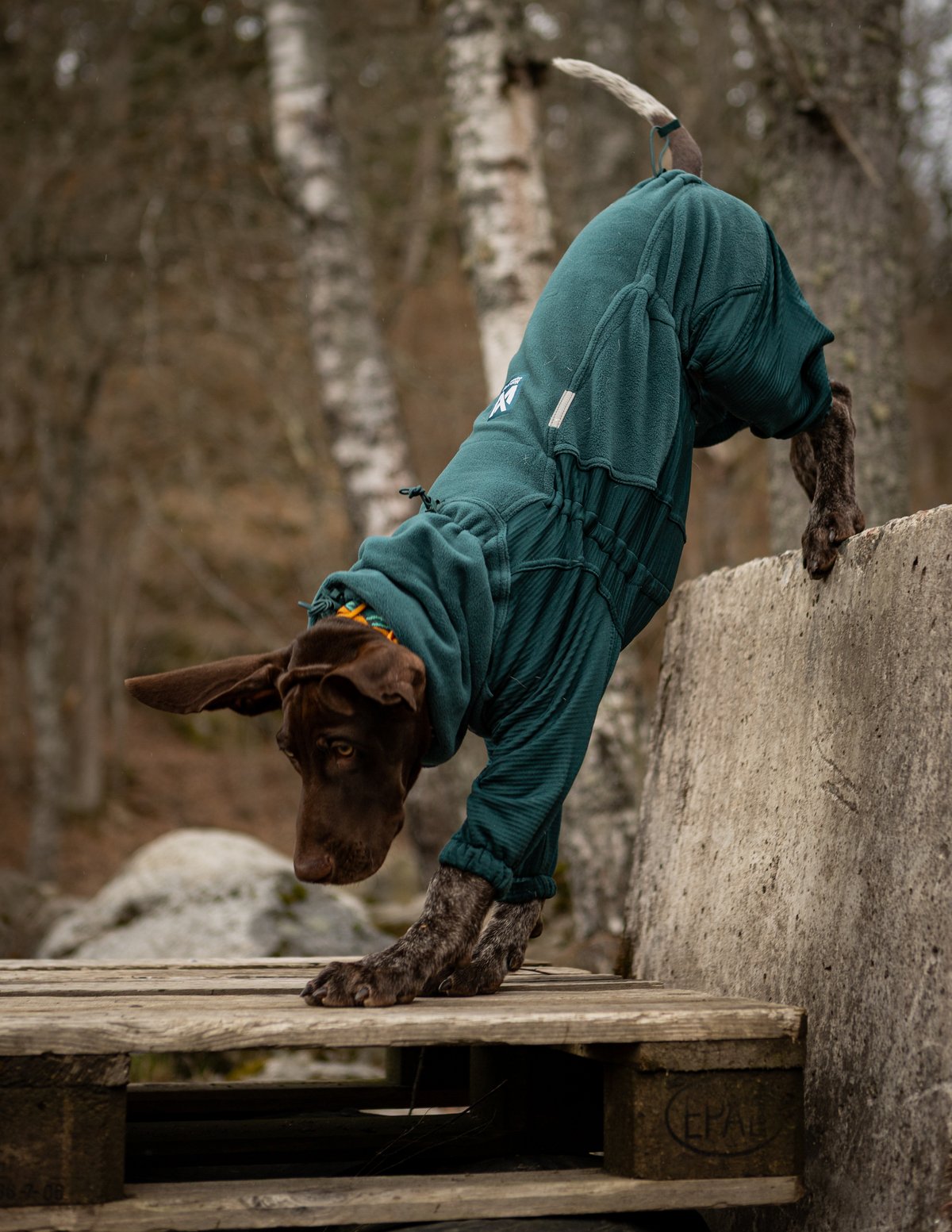Trail quest fleece overall 寒さに強いアクティブ犬用防寒着