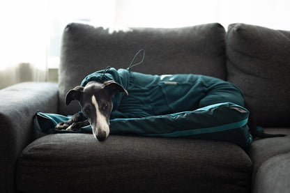 Trail quest fleece overall 寒さに強いアクティブ犬用防寒着