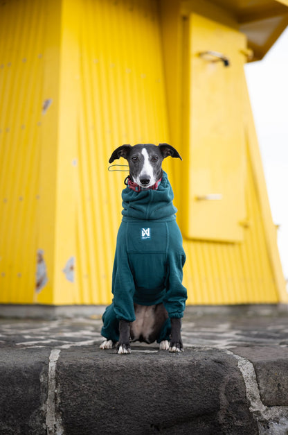 Trail quest fleece overall 寒さに強いアクティブ犬用防寒着