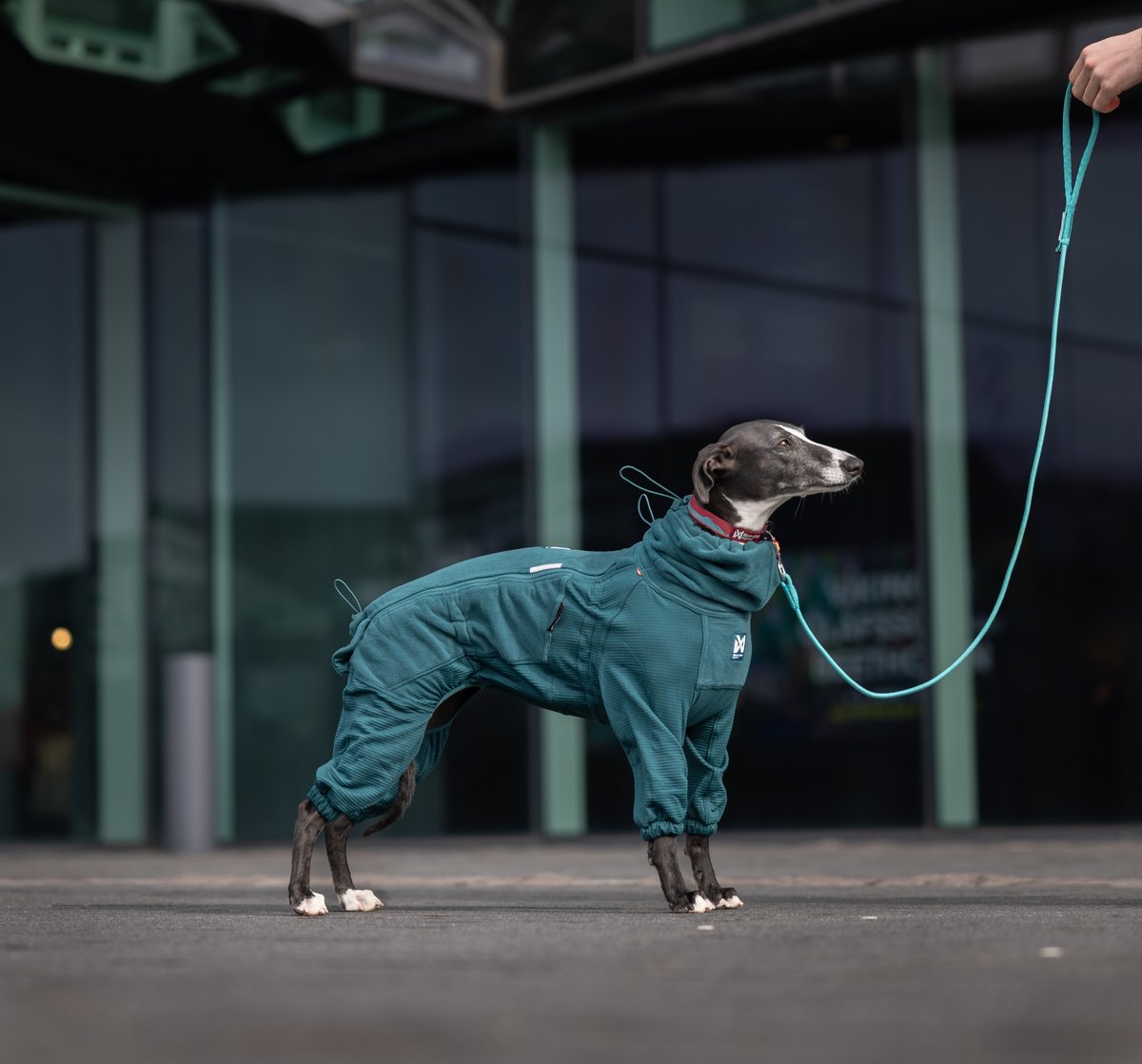 Trail quest fleece overall 寒さに強いアクティブ犬用防寒着