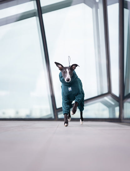 Trail quest fleece overall 寒さに強いアクティブ犬用防寒着