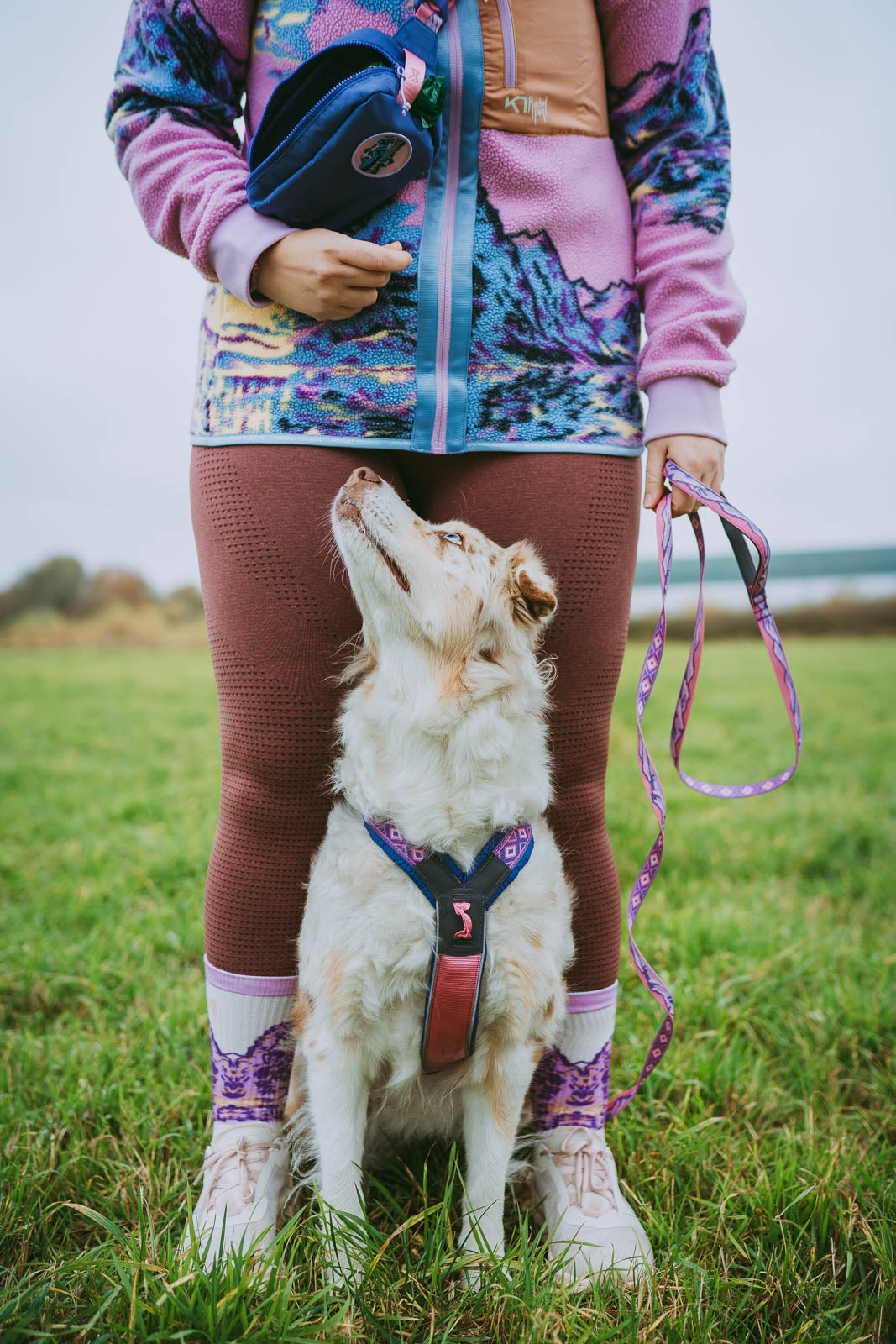 Trail quest leash Rachel Pohl edition 限定コラボ商品！