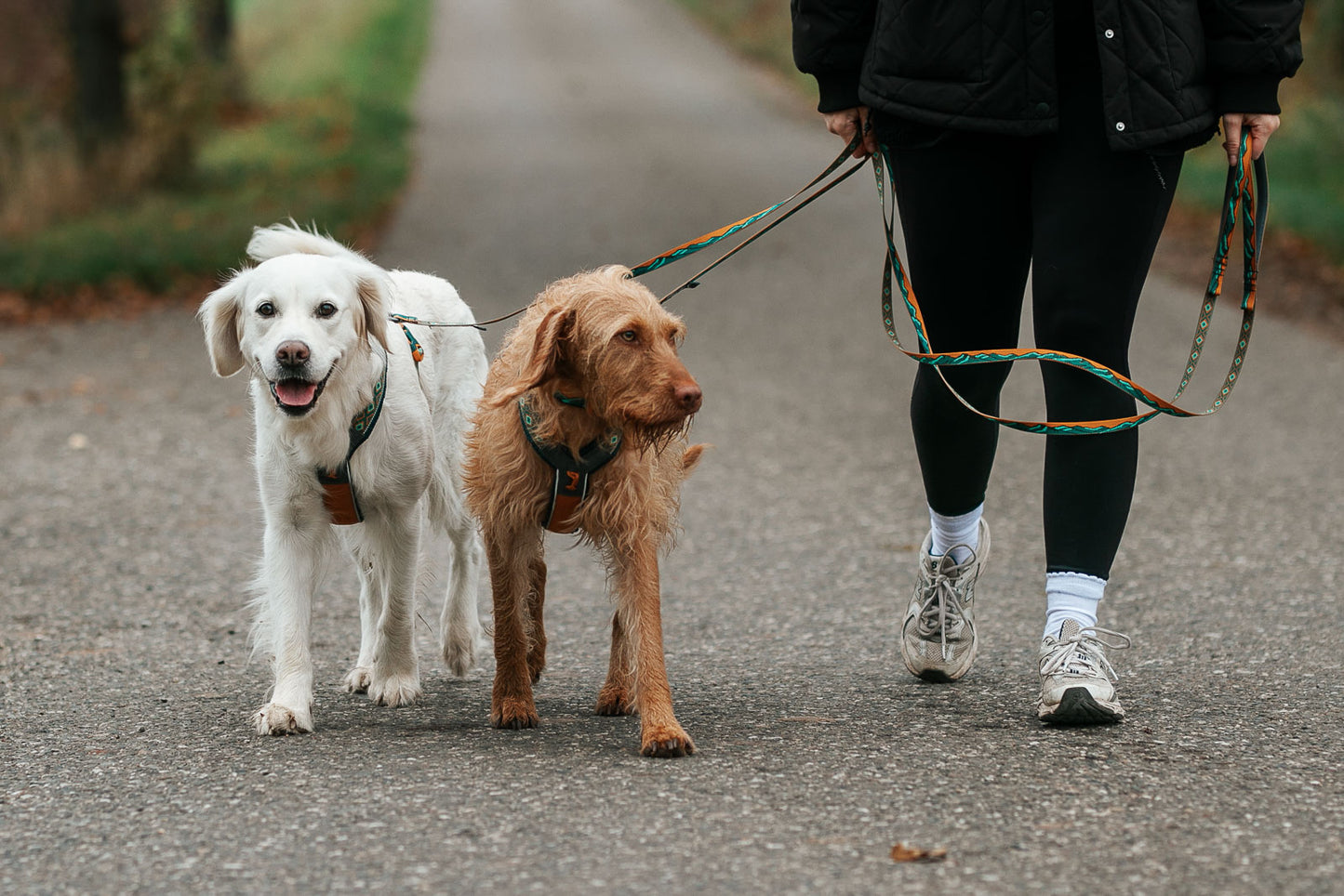 Trail quest leash Rachel Pohl edition 限定コラボ商品！